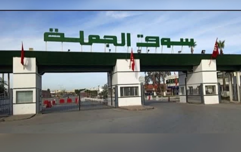 سوق الجملة ببئر القصعة: طفرة في نسق التزويد وانخفاض في الأسعار خلال جوان 2026