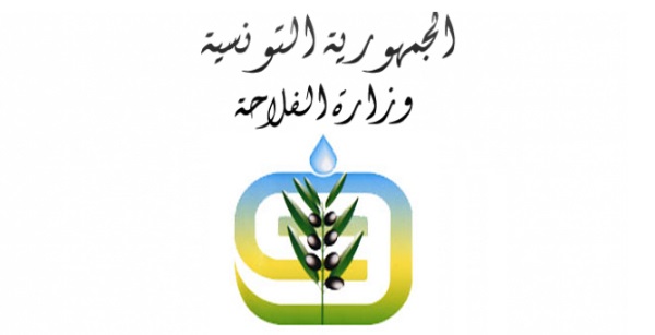 وزارة الفلاحة تدعو إلى اتخاذ الاحتياطات اللازمة تحسبا للتقلبات الجوية المرتقبة