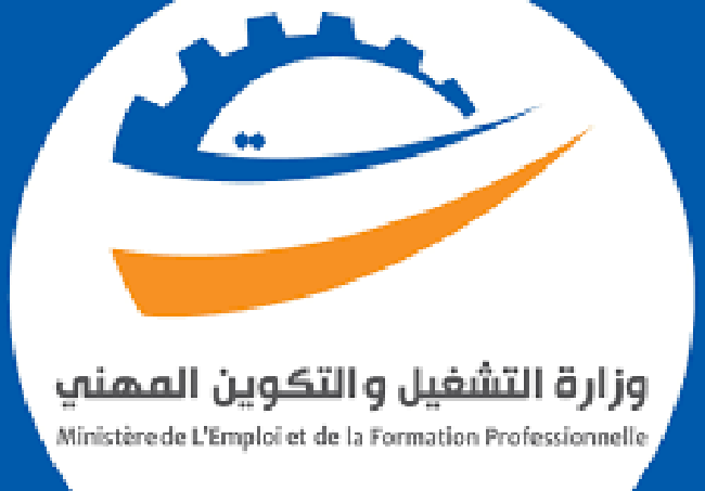 وزارة التشغيل: تمويل 75 شركة أهلية إلى موفى مارس 2026 