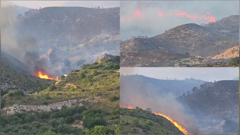 حريق بجبل الشحمة بمنطقة بئر حليمة من معتمدية زغوان 