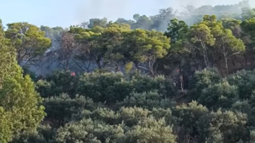 أريانة.. السيطرة على حريق بجبل الشرف بجعفر