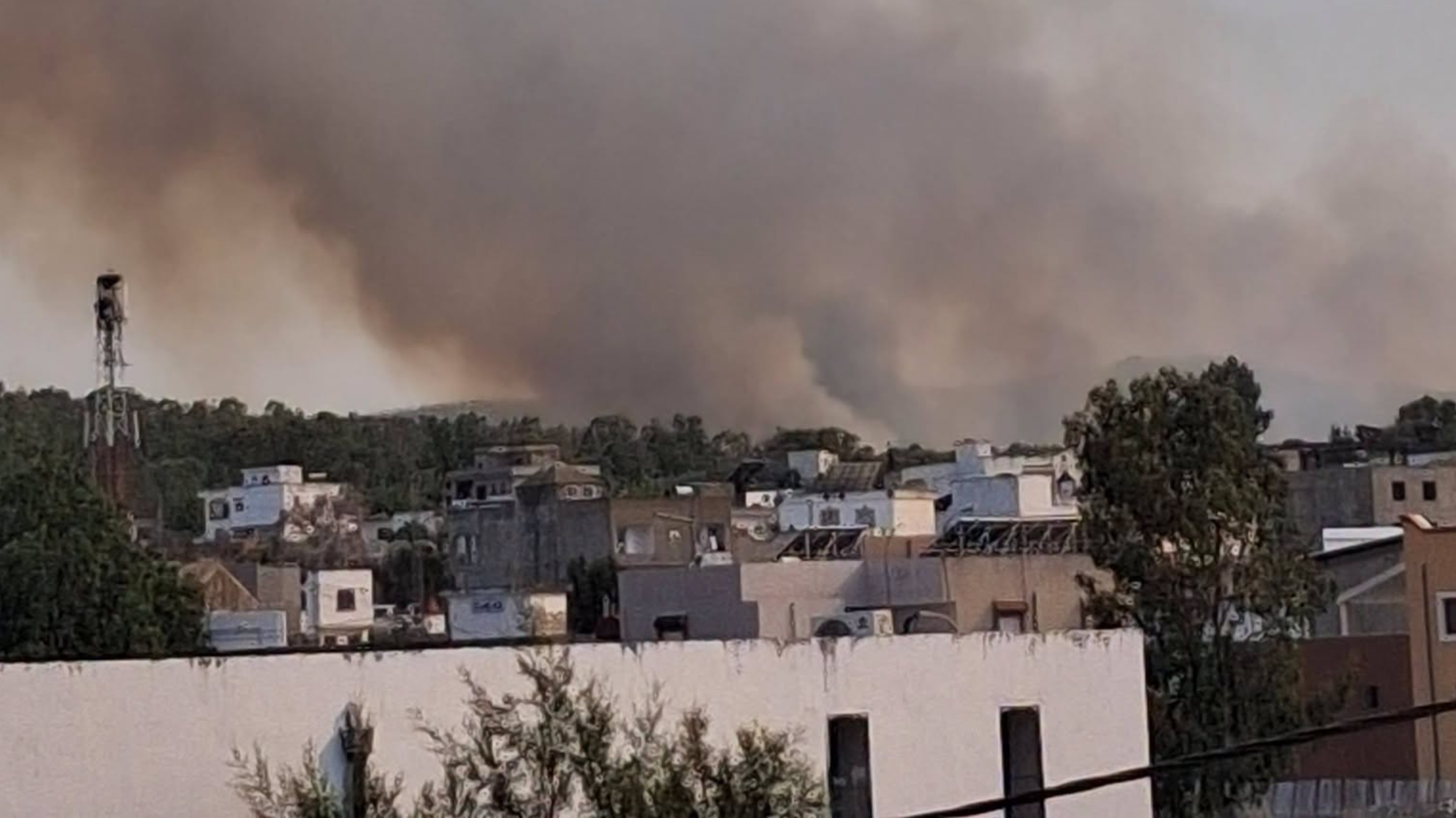 سجنان.. حريق يأتي على 20 هك من الغطاء الغابي