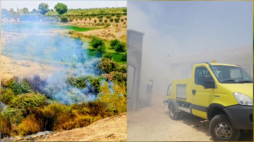 الوسلاتية..السيطرة على حريق بجبل السرج بعد تضرر نصف هكتار من الغابات