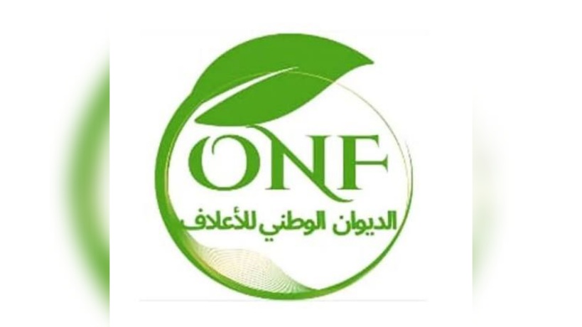 ديوان الاعلاف يقرر مراجعة سعر بيع الذرة العلفية 