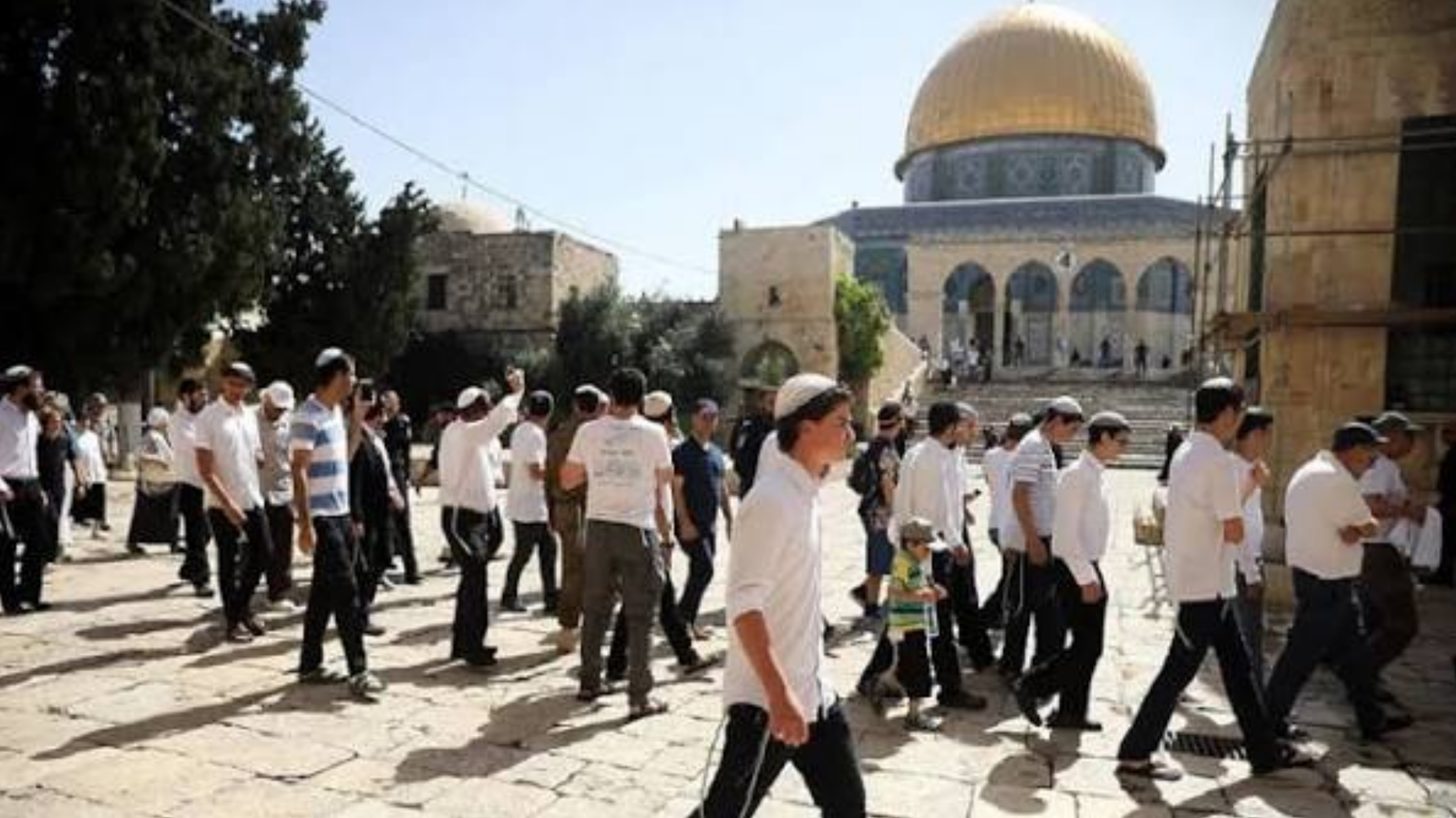 أدانت اقتحام الأقصى.. 8 دول عربية وإسلامية تطالب بتحرك دولي لردع الاحتلال