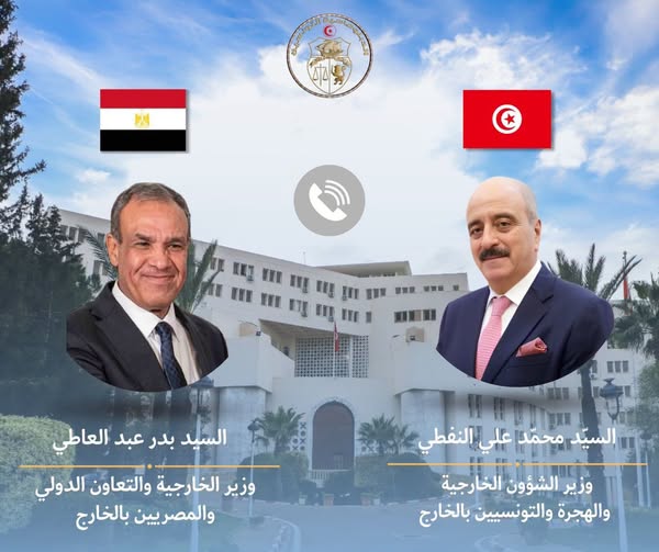 وزير الخارجية يتلقى مكالمة هاتفية من نظيره المصري