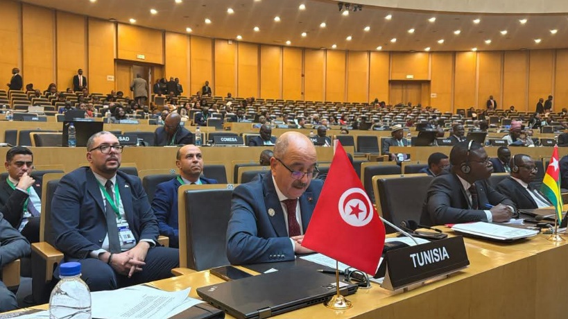 وزير الخارجية يؤكد أمام المجلس التنفيذي للاتحاد الإفريقي ضرورة ترسيخ الشفافية والحوكمة في إصلاح المفوضية