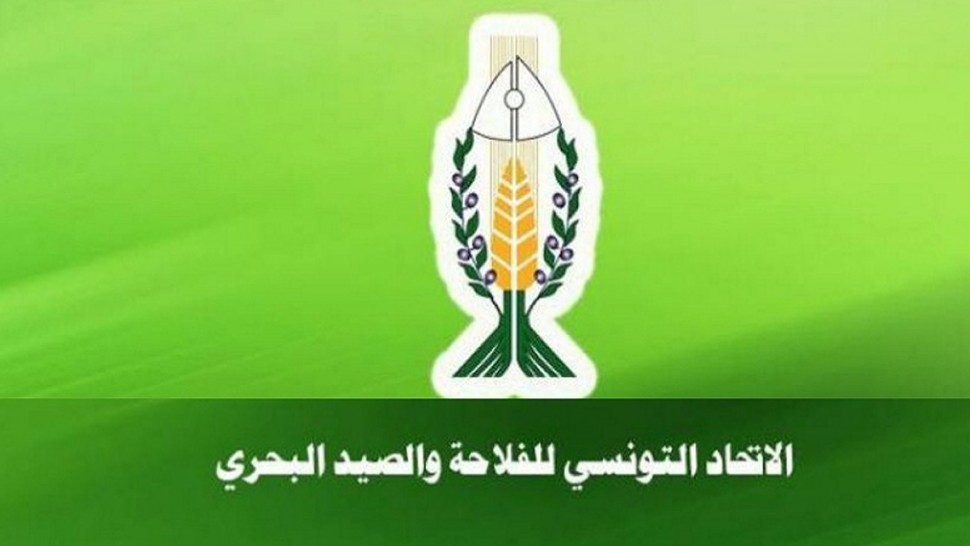 اتحاد الفلاحة يدعو إلى تعويض المتضررين من انقطاع الكهرباء والمياه ويحذر من انعكاساته على الإنتاج الفلاحي