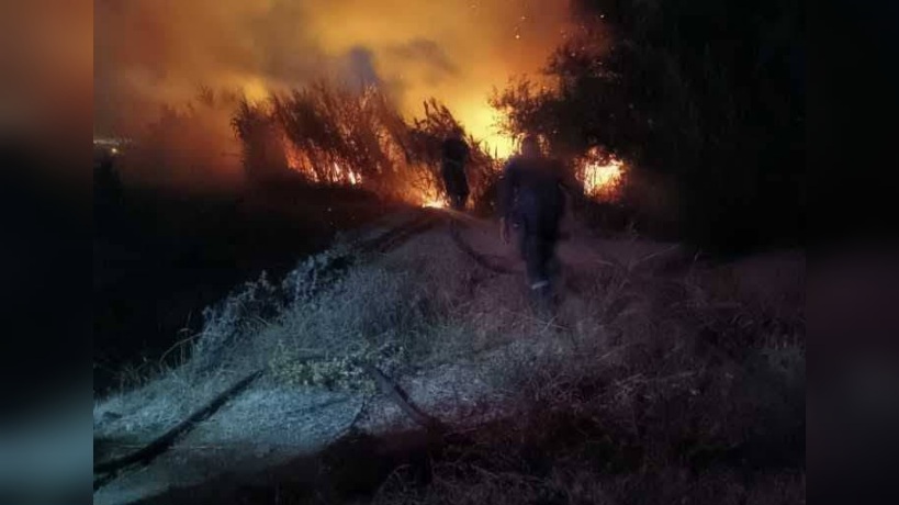 بنزرت.. حريق يأتي على مساحة من القصب في جرزونة 