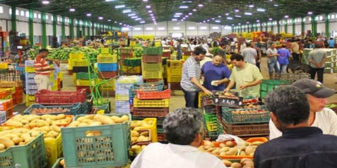 سوق الجملة ببئر القصعة.. تحسن التزويد خلال جوان وجويلية يدعم تراجع أسعار الخضر والغلال والأسماك