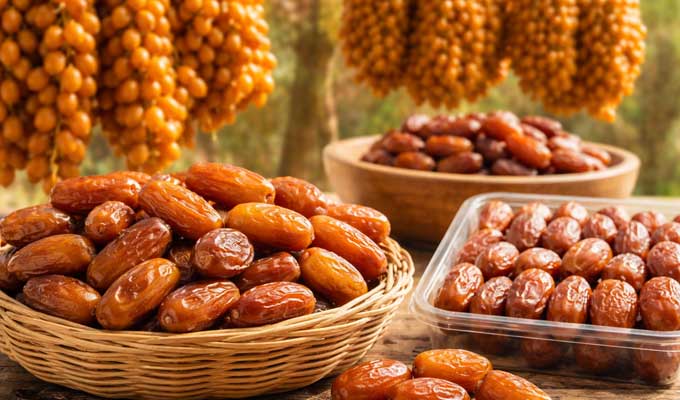 تطور عائدات صادرات التمور بـ12.2 بالمائة.. توجّه نحو الانفتاح على أسواق جديدة وإحكام نجاعة التخزين والتسويق