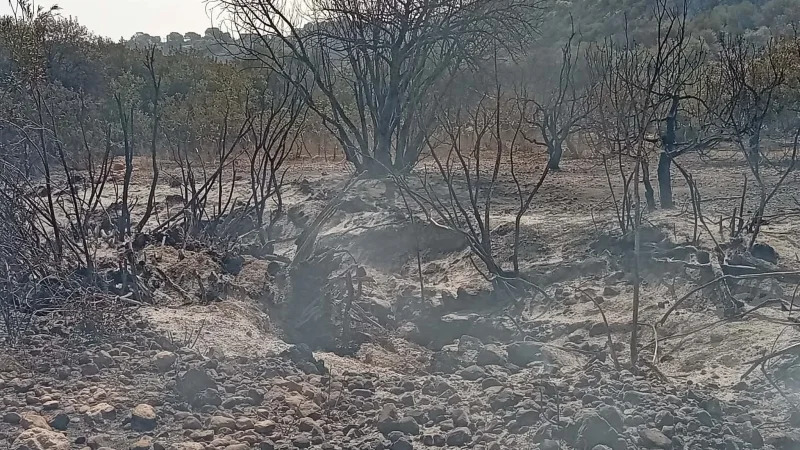 حريق جبل برقو يمتدّ إلى القواسمية.. وتواصل عمليات التدخل