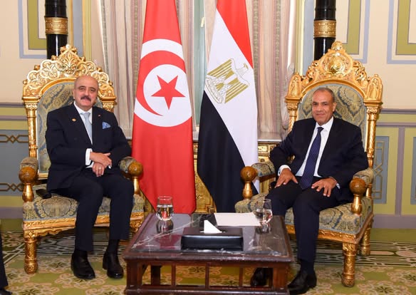 وزير الخارجية يلتقي نظيره المصري بالقاهرة
