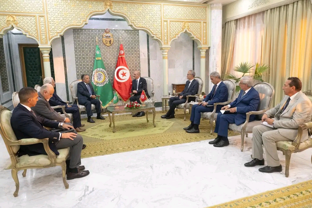 وزير الخارجية يشدد على ضرورة توحيد الصفّ العربي للدفاع عن قضايا الأمة العربية وأمنها القومي