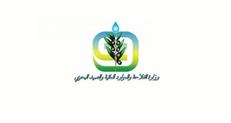 وزير الفلاحة: سلامة المواطنين وحماية الممتلكات والمنشآت والأراضي الفلاحية أولوية