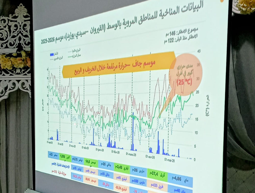 🔴القيروان.. ندوة وطنية تبحث سبل تأقلم قطاع الحبوب مع التغيرات المناخية