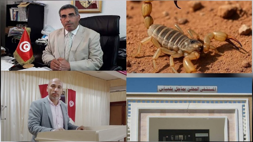 ماجل بلعباس.. لدغات سامة وحوادث تتعمق في غياب الانعاش المتنقل وفرع للحماية المدنية 