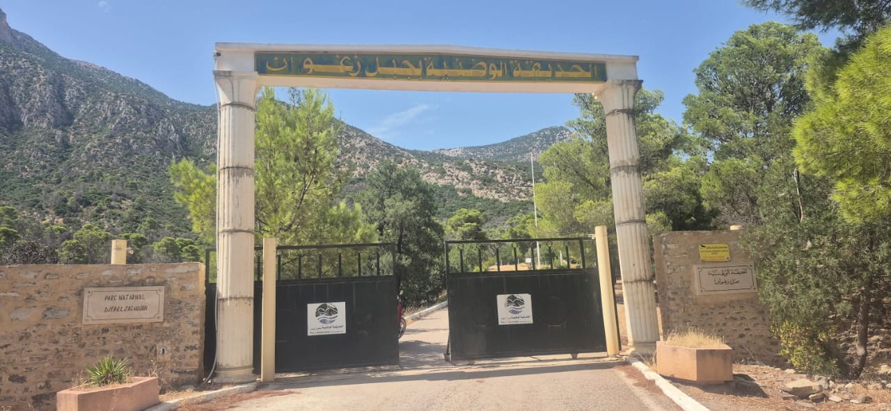   رغم الطبيعة الجذابة والرصيد التراثي الثري.. مشاريع معطلة واشكاليات تعرقل تطوير السياحة في زغوان