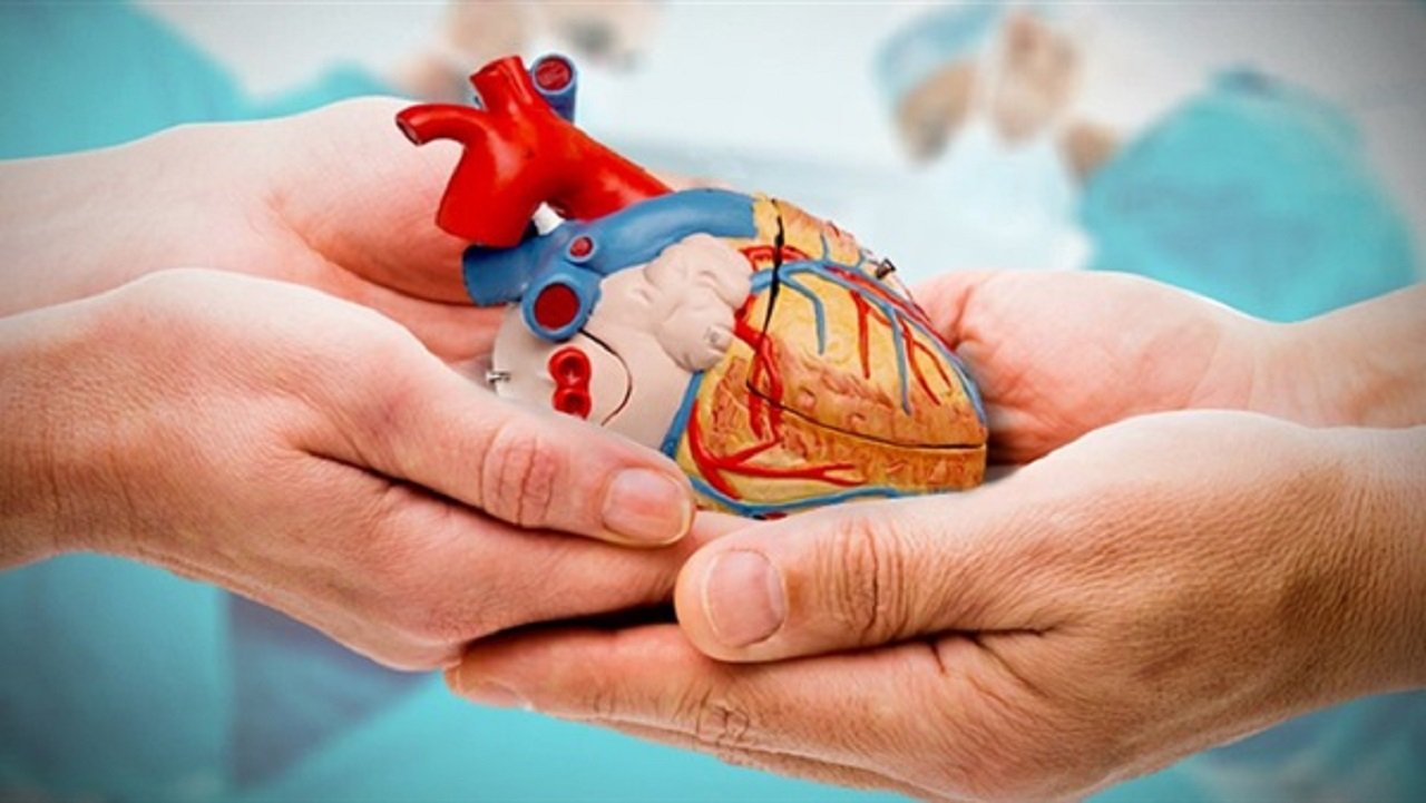 شكل أبرز عائق أمام تطور زراعة الأعضاء في تونس.. رفض العائلات أخذ الأعضاء من أقاربهم المتوفين يصل إلى 70 بالمائة