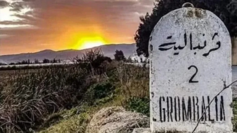 نابل.. سحب تصنيف مصنع الذباب الأسود بقرمبالية  وغلقه مؤقتا إلى حين رفع الإخلالات