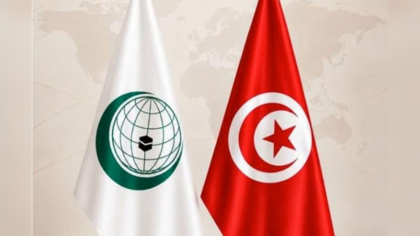 انتخاب مدير عام الشؤون القانونية بوزارة الخارجية عضواً بهيئة حقوق الإنسان التابعة لمنظمة التعاون الإسلامي