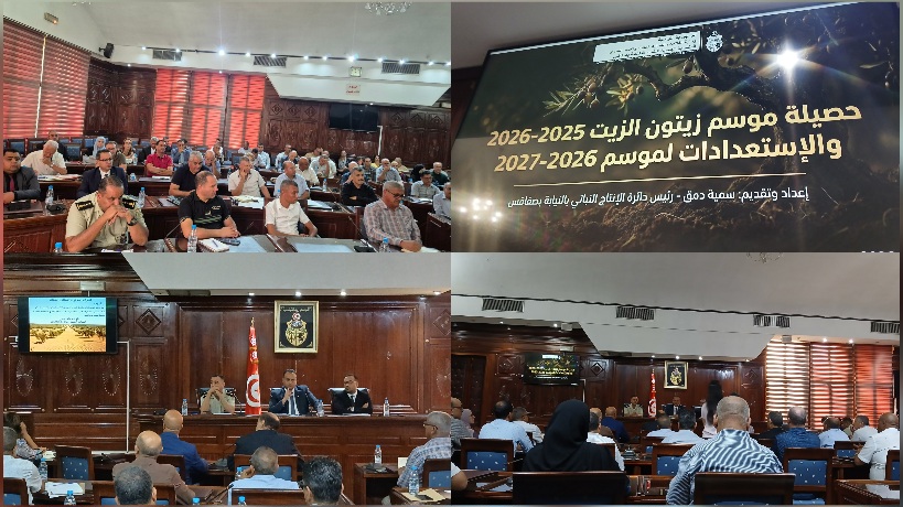 صفاقس.. الإعلان عن موعد افتتاح موسم جني الزيتون وتوقعات الإنتاج