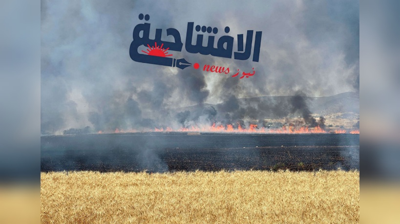 الحرائق.. الوعي المُجتمعي خط الدفاع الأول