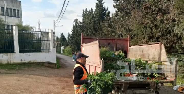 وادي الليل/منوبة .. تنظيف مداخل الملعب البلدي استعدادا للباكالوريا رياضة 4 654234957_827192396409967_6777104137847915524_n.jpg