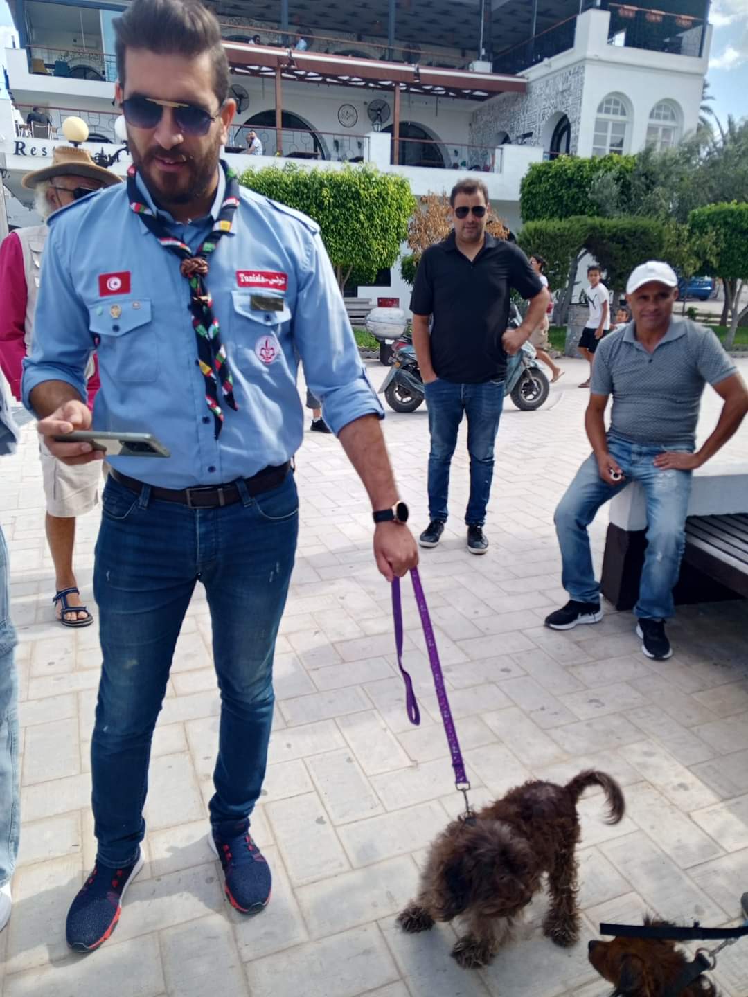 نابل : تسجيل 44 اصابة حيوانية بداء الكلب من بينها 5 أبقار 1 FB_IMG_1726324736919.jpg