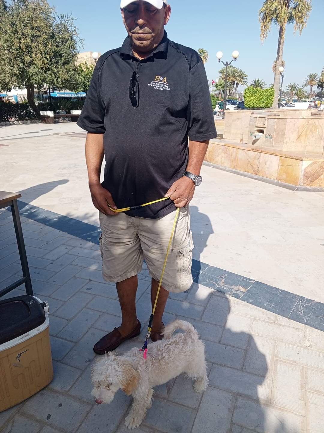 نابل : تسجيل 44 اصابة حيوانية بداء الكلب من بينها 5 أبقار 3 FB_IMG_1726326135305.jpg
