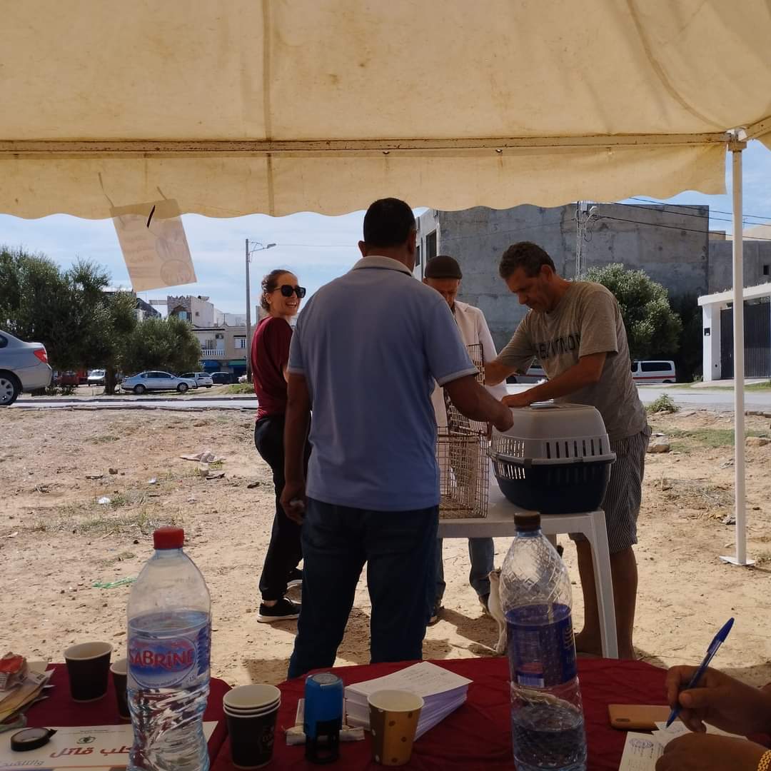 نابل.. تسجيل 46 اصابة حيوانية بداء الكلب ومؤشر ايجابي حول تقلص عدد الحالات 2 FB_IMG_1726924065650.jpg