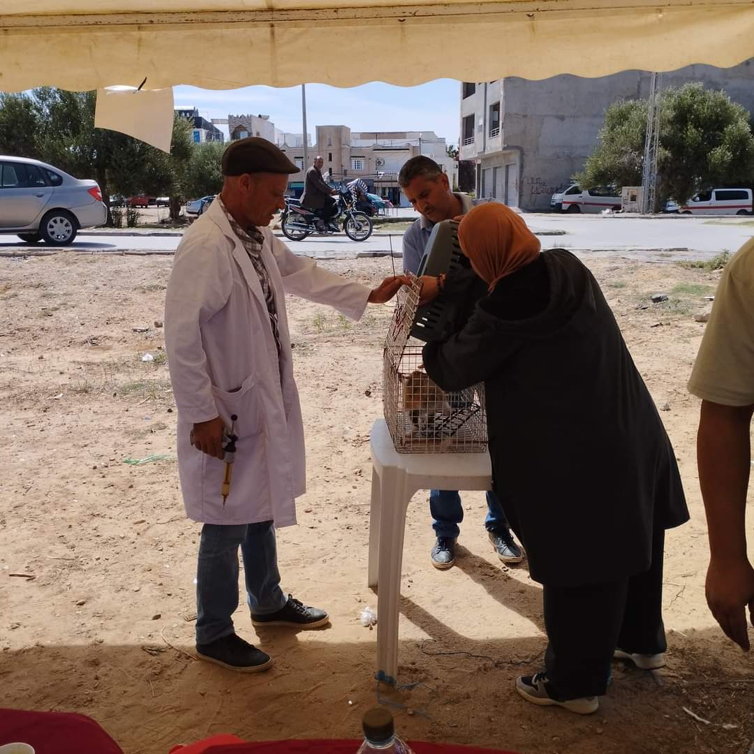 نابل.. تسجيل 46 اصابة حيوانية بداء الكلب ومؤشر ايجابي حول تقلص عدد الحالات 3 FB_IMG_1726924070751.jpg