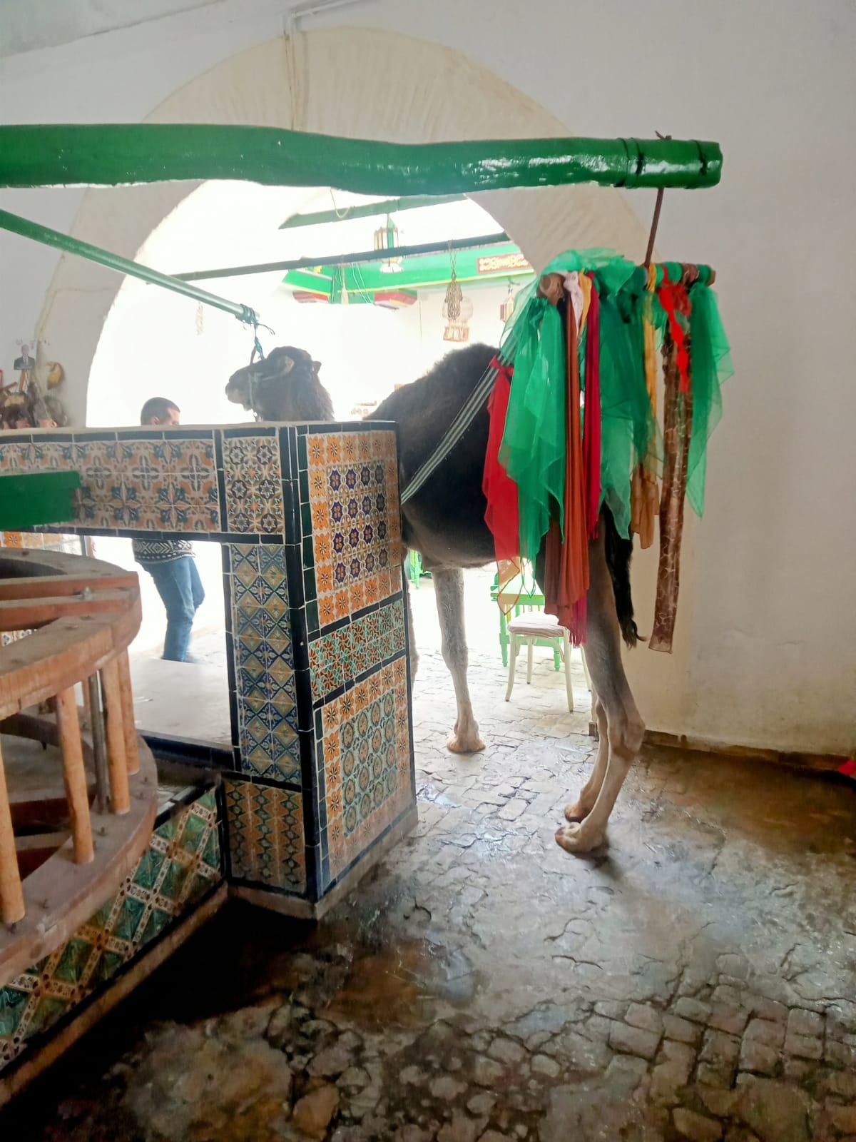 بئر بروطة بالقيروان.. منبع ماء تحول إلى رمز للصبر والأمل منذ أكثر من 13 قرنا