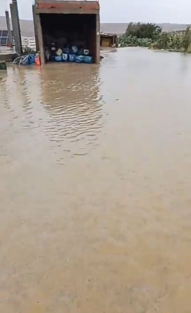 اثر نزول كميات هامة من الأمطار بالقصرين.. فيضان بعض الأودية وتسجيل أضرار فلاحية 1 IMG_20240902_165106.jpg