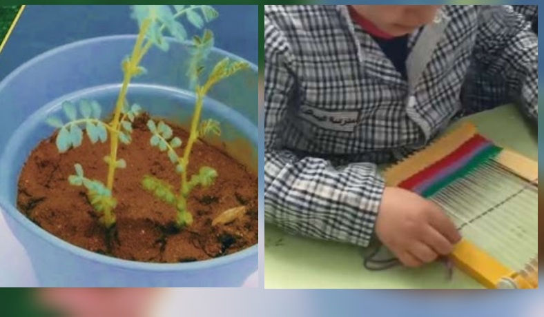  رسمي.. وزارة التربية تُنهي مشاريع الحمص والفول والمنسج والبحوث الجاهزة