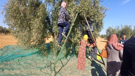 bazda.jpg