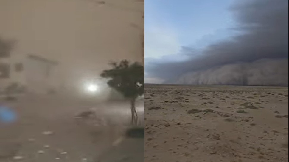 توزر.. تواصل التدخلات لإزالة آثار العاصفة الرملية ورفع الأشجار المتساقطة بفعل الرياح 1 l159.jpg
